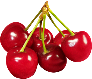 red cherry PNG image, free download-611